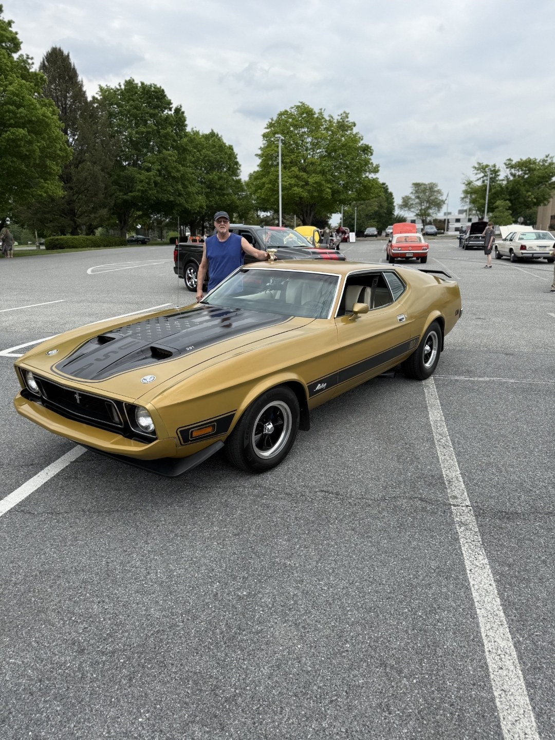 Classic Ford Mustang Mach 1 at the car show